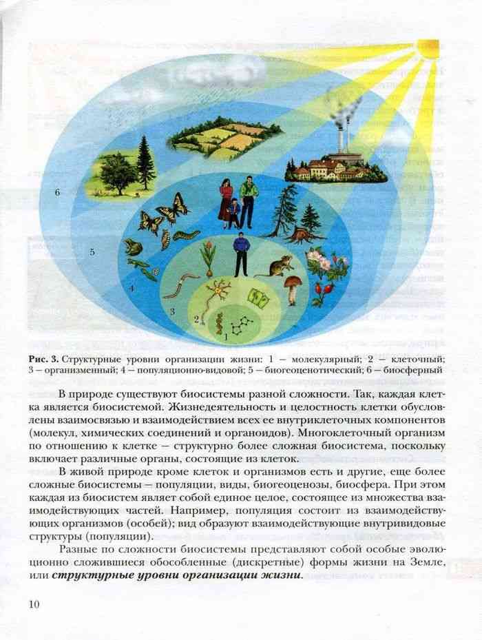 Учебник Биология 9 класс Пономарева Корнилова Чернова читать онлайн